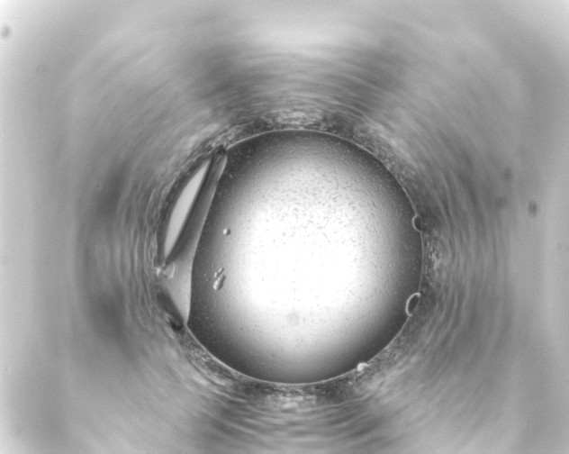 X0000088910745200706221929