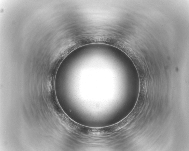 X0000088910746200706221929