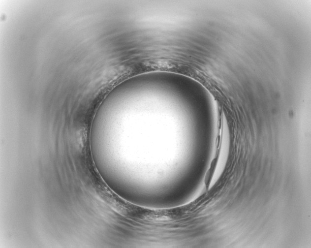 X0000088910747200706221929