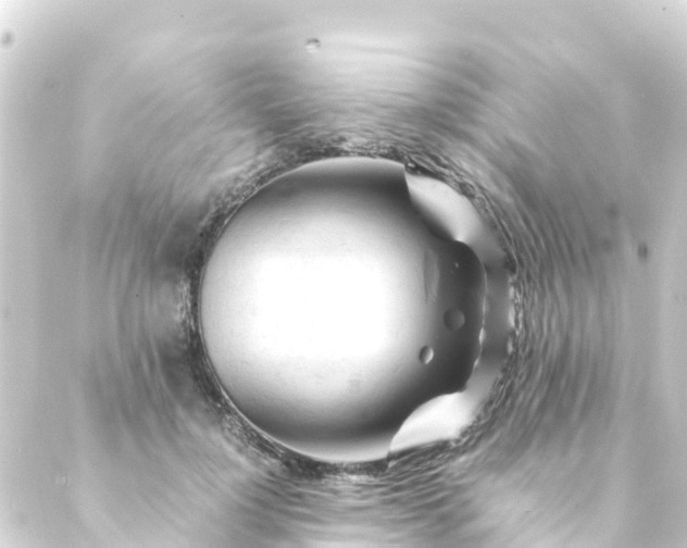 X0000088910748200706221929