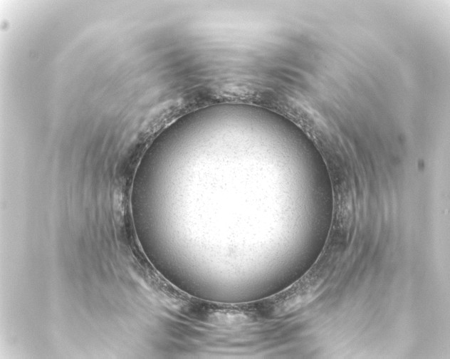 X0000088910749200706221929