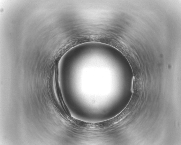 X0000088910750200706221929