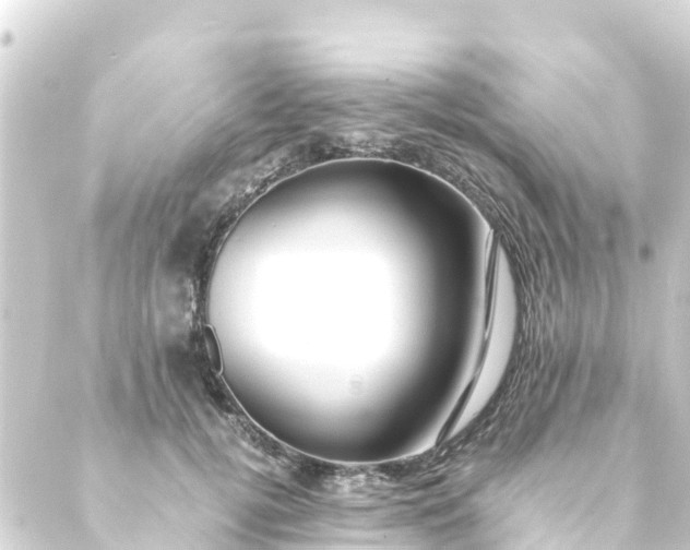 X0000088910752200706221929