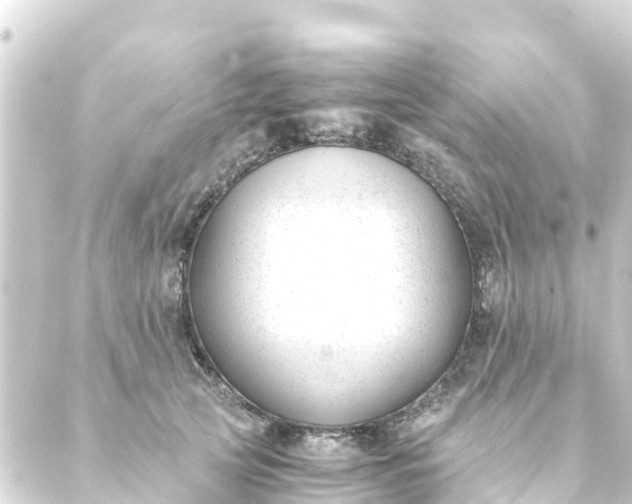 X0000088910753200706221929