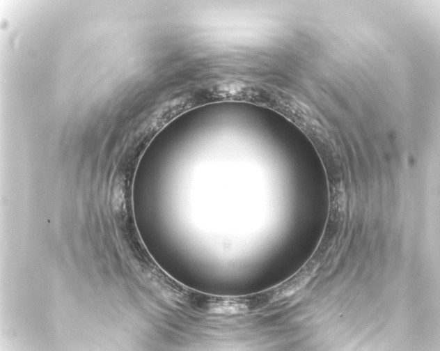 X0000088910754200706221929