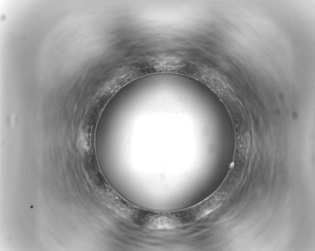 X0000088910755200706221929