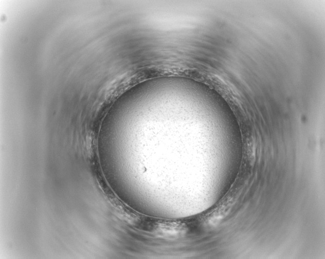 X0000088910757200706221929