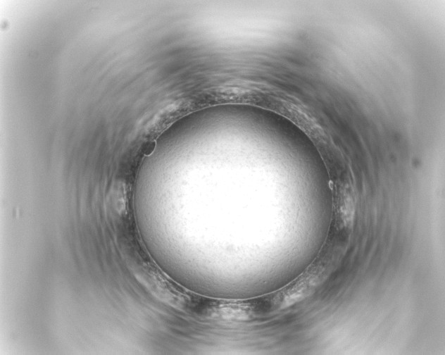 X0000088910758200706221929