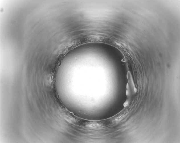 X0000088910759200706221929