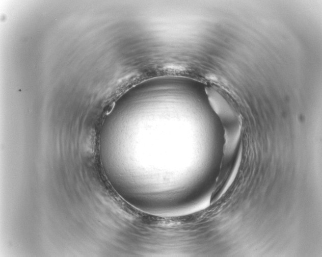 X0000088910760200706221929