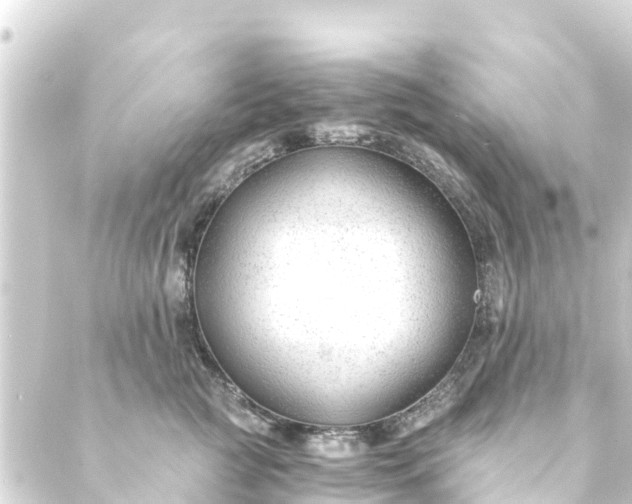 X0000088910761200706221929