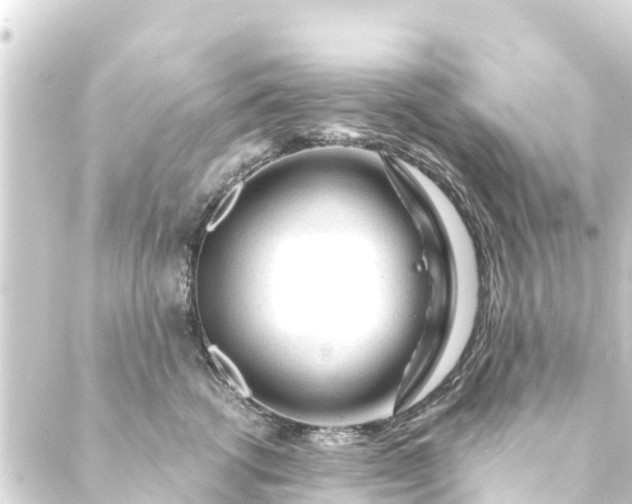 X0000088910762200706221929