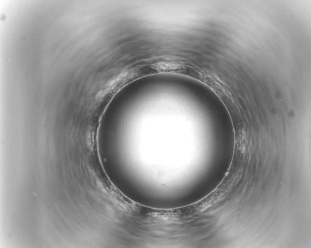 X0000088910763200706221929