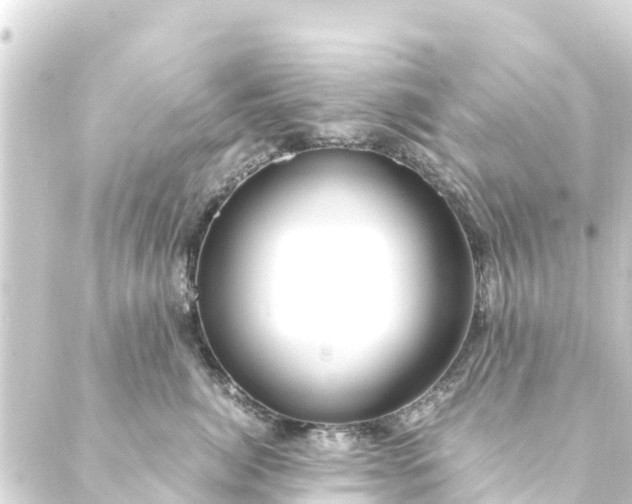 X0000088910764200706221929