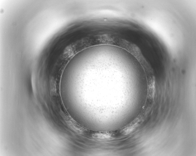 X0000088910765200706221929