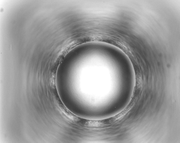 X0000088910766200706221929