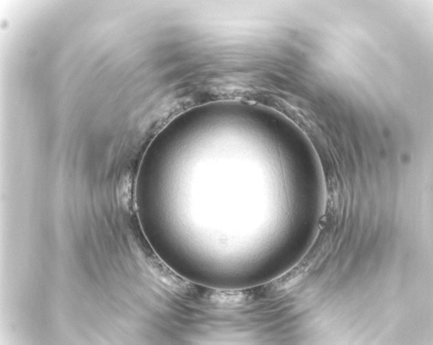 X0000088910767200706221929