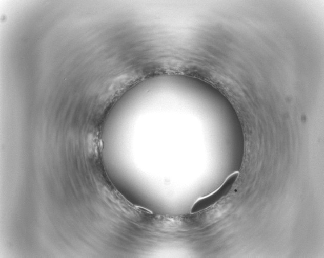 X0000088910768200706221929