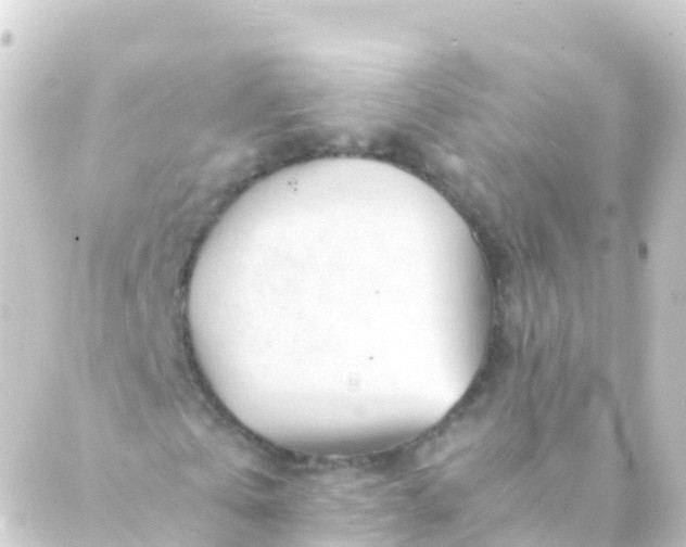 X0000088910769200706221928