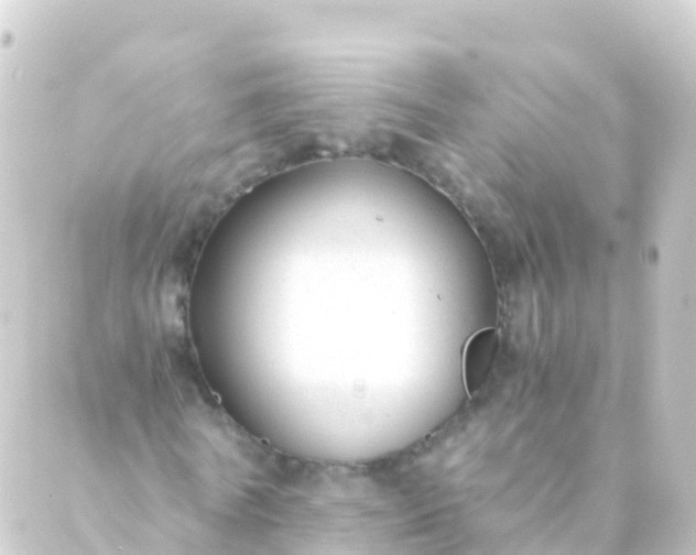 X0000088910770200706221928