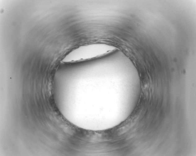 X0000088910772200706221928