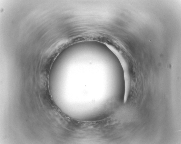 X0000088910773200706221928