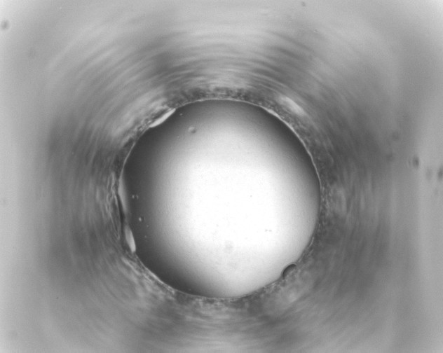 X0000088910774200706221928