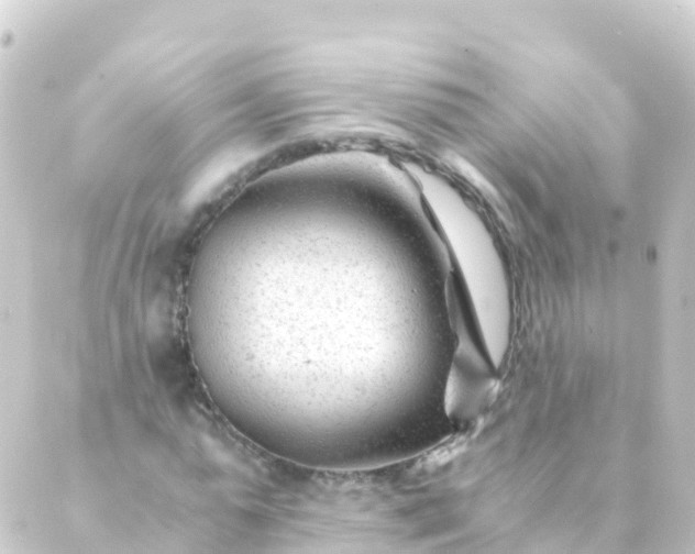 X0000088910775200706221928