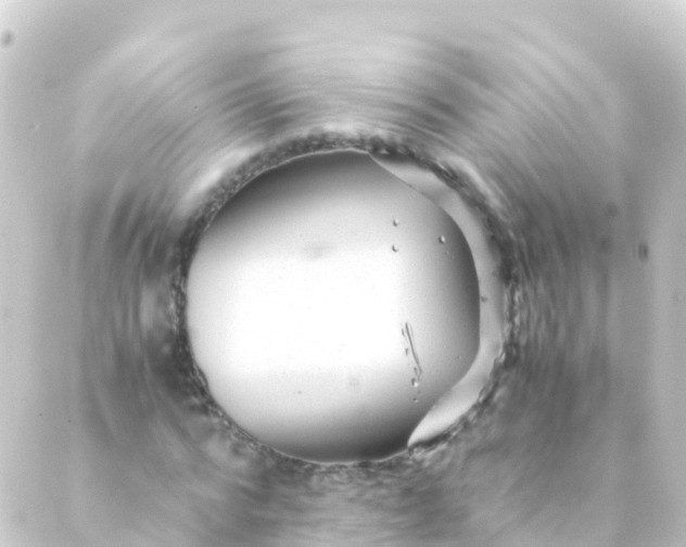 X0000088910776200706221928