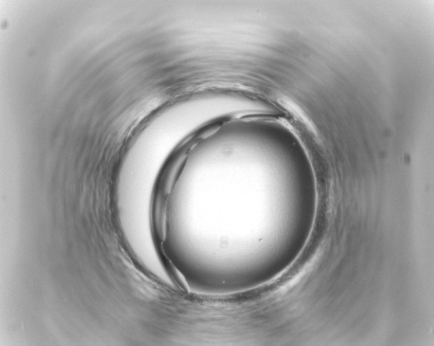 X0000088910777200706221928