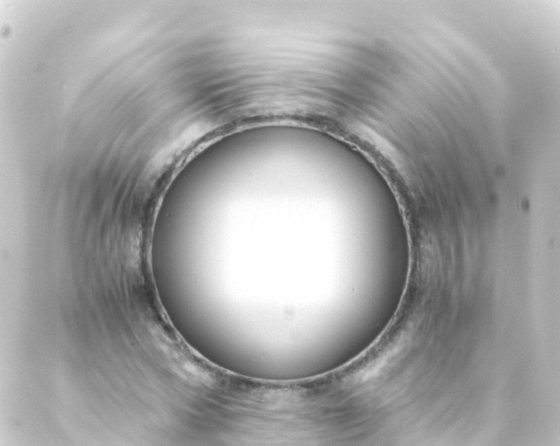 X0000088910778200706221928