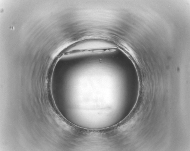 X0000088910779200706221928