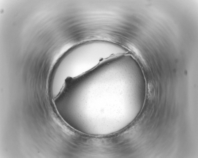 X0000088910780200706221928