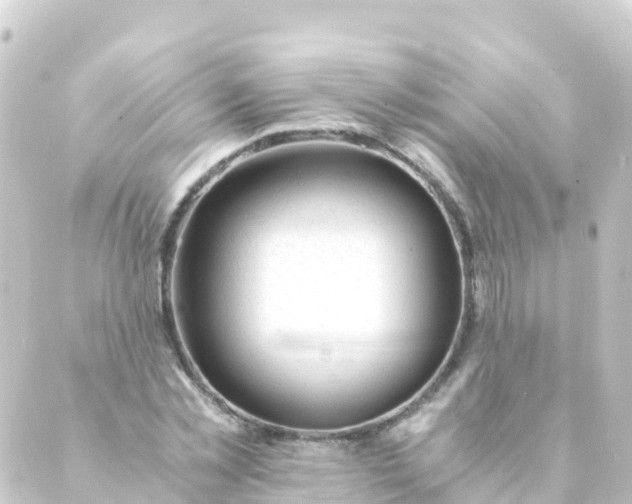 X0000088910781200706221928