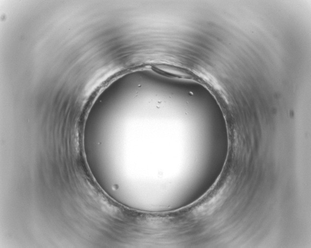 X0000088910782200706221928