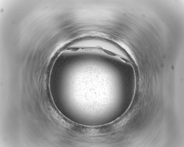 X0000088910783200706221928