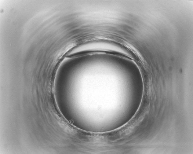 X0000088910785200706221928