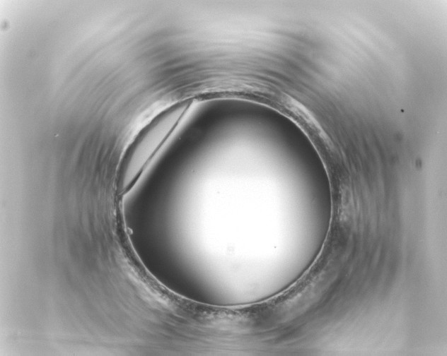 X0000088910786200706221928