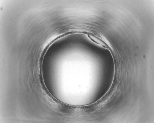 X0000088910787200706221928