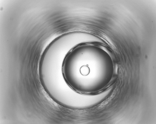 X0000088910788200706221928