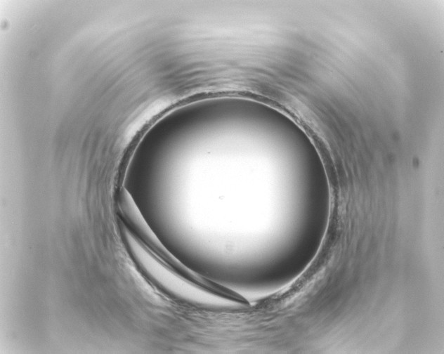 X0000088910789200706221928