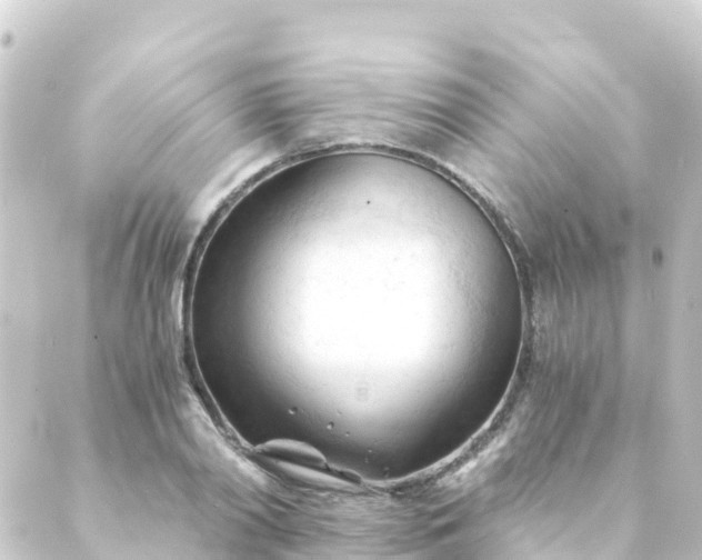 X0000088910790200706221928