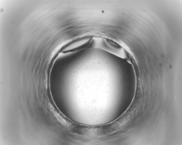 X0000088910791200706221928