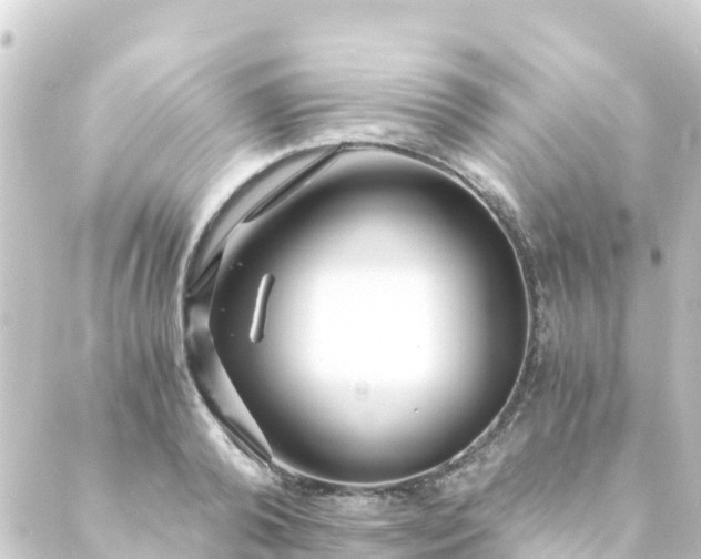 X0000088910792200706221928