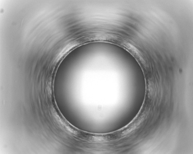 X0000088910794200706221928