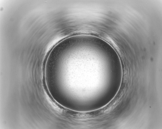 X0000088910795200706221928