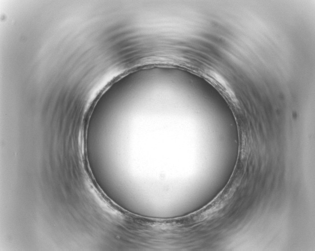 X0000088910796200706221928