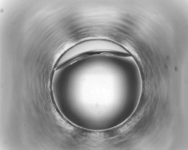 X0000088910797200706221928