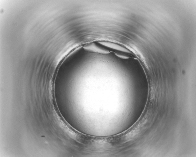 X0000088910798200706221928