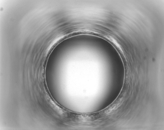 X0000088910799200706221928